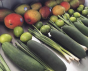 cucumber mango limes and green onions