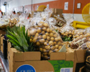 Boxes filled with potatoes and pineapple sit on a table inside Gleaners' drive-thru food pantry while a woman volunteers.