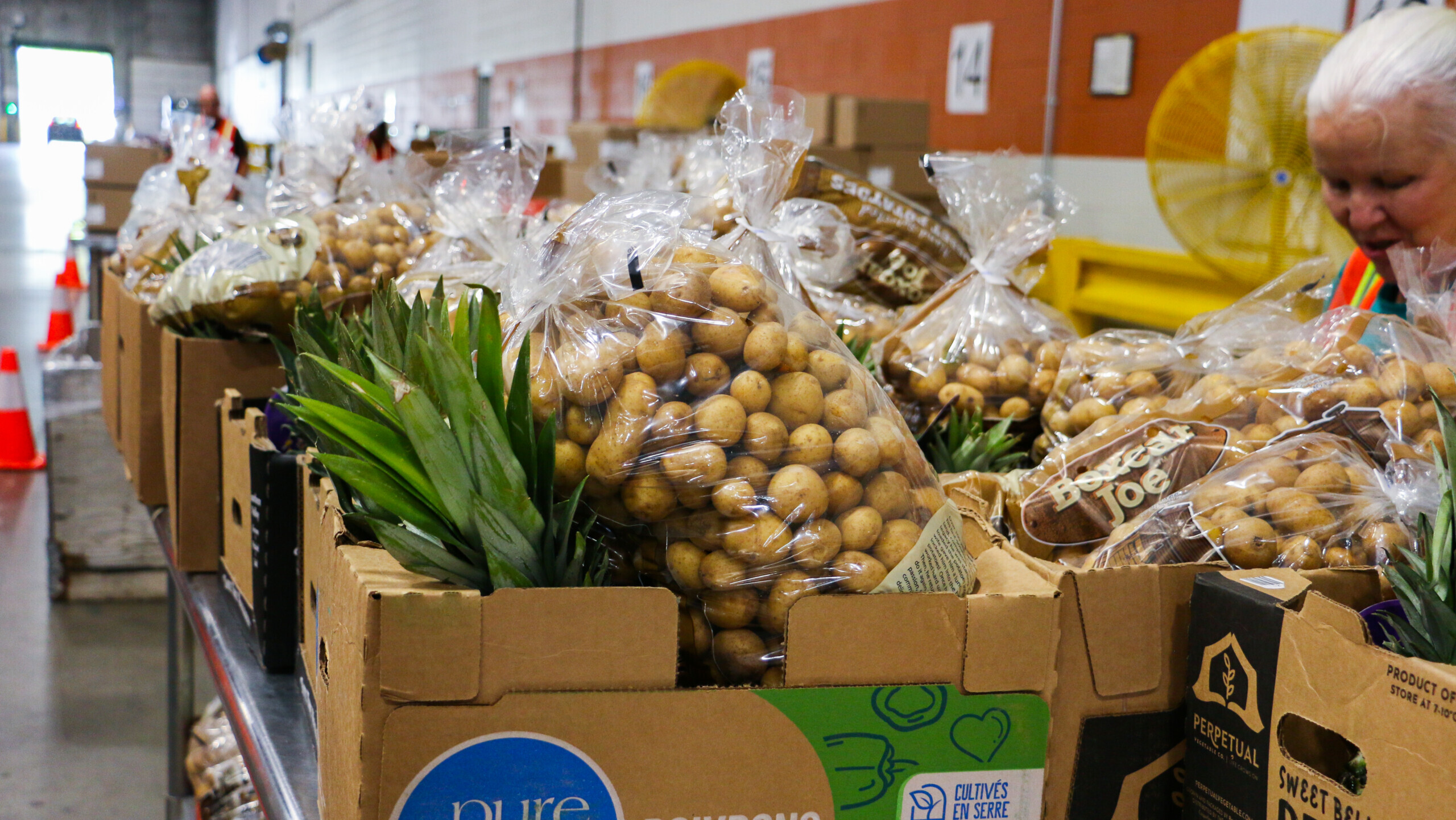 Boxes filled with potatoes and pineapple sit on a table inside Gleaners' drive-thru food pantry while a woman volunteers.